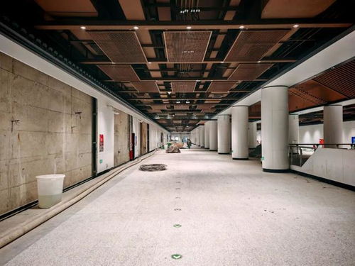 蘇州橋站3月底裝修完畢 北京地鐵12號線有新進展