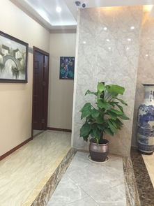 蘇錦堂裝飾簡介 地址